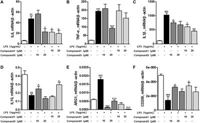 New Polyketides With Anti-Inflammatory Activity From the Fungus Aspergillus rugulosa